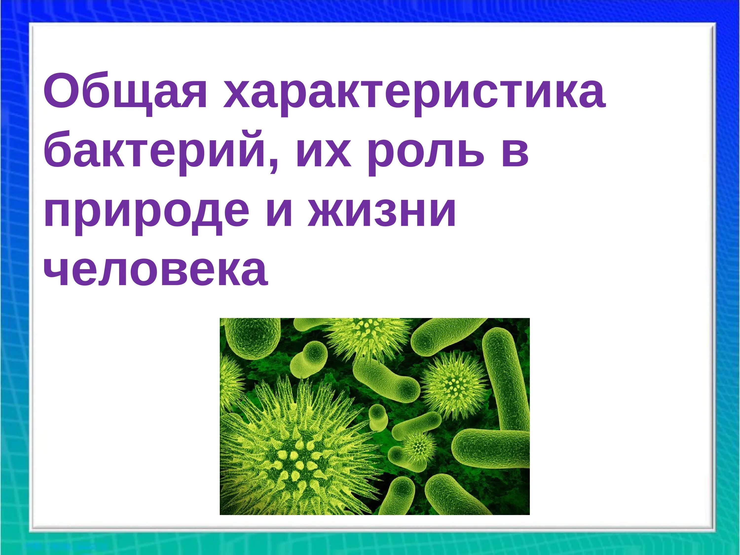 Сообщение о значении бактерий. Роль бактерий в природе. Презентация по биологии. Роль бактерий в жизни человека. Проект на тему роль бактерий в природе.