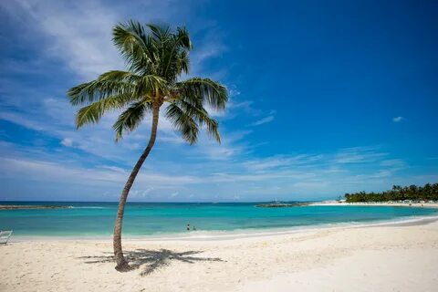 Island beach