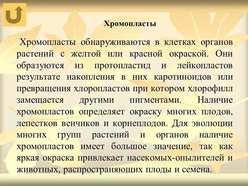 Хромопласт содержит каротиноиды. Хромопласты. хромопласты желтые. хромопласты образуются в. хромопласты накапливают каротиноиды.