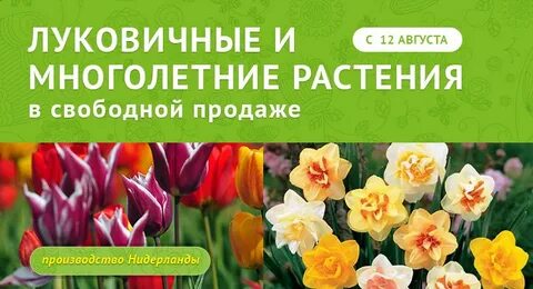 Интернет магазины для садоводов и огородников