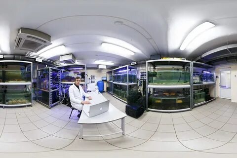 Электронная лаборатория
