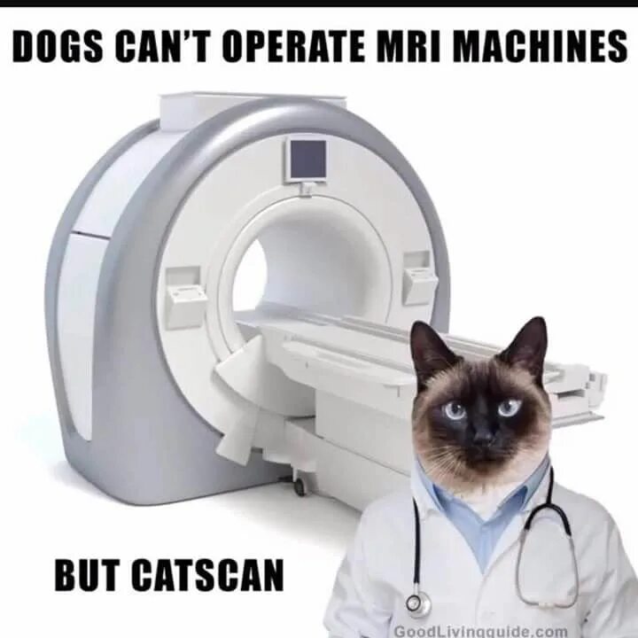 We are but machines