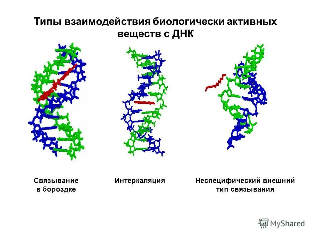 Днк методом tunel