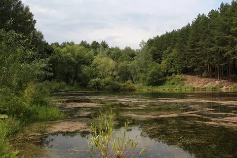 Поляна пензенская область