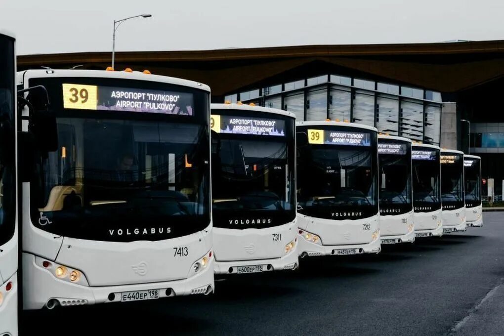 Пулково 39. Автобус в аэропорт пулково от московской. 39 автобус пулково. Автобус волгабас спб. Аэропорт пулково автобус 39.
