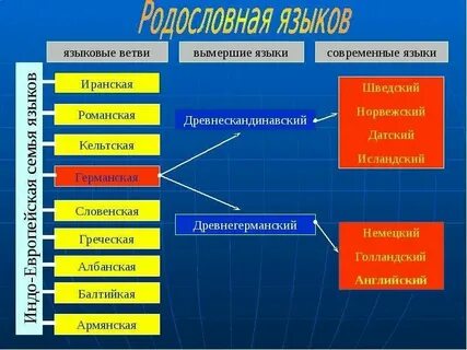 К какой семье относится немецкий