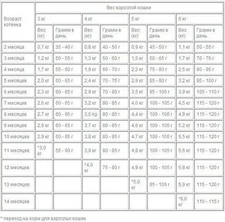 Сколько должен есть месячный котенок