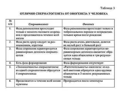 Сравнительная таблица сперматогенеза и овогенеза
