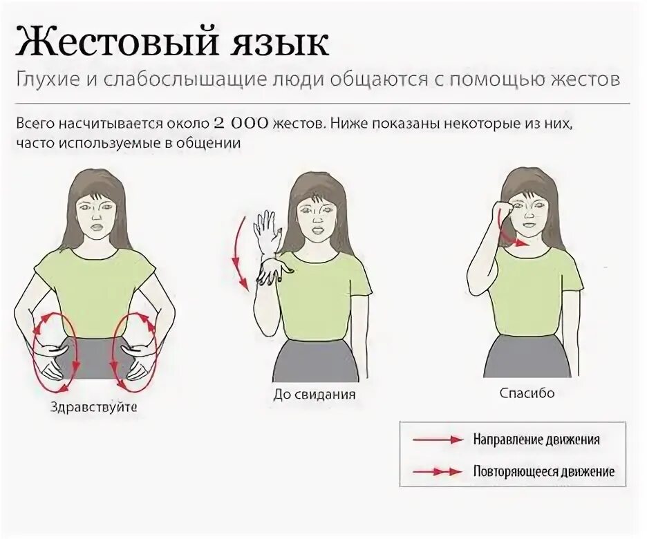 Можно ли водить глухонемым. Язык жестов. Здравствуйте на языке жес. Язык жестов глухонемых. Язык жестов для глухих.