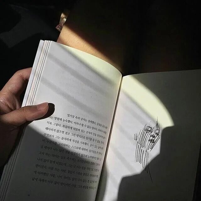 Continue studying