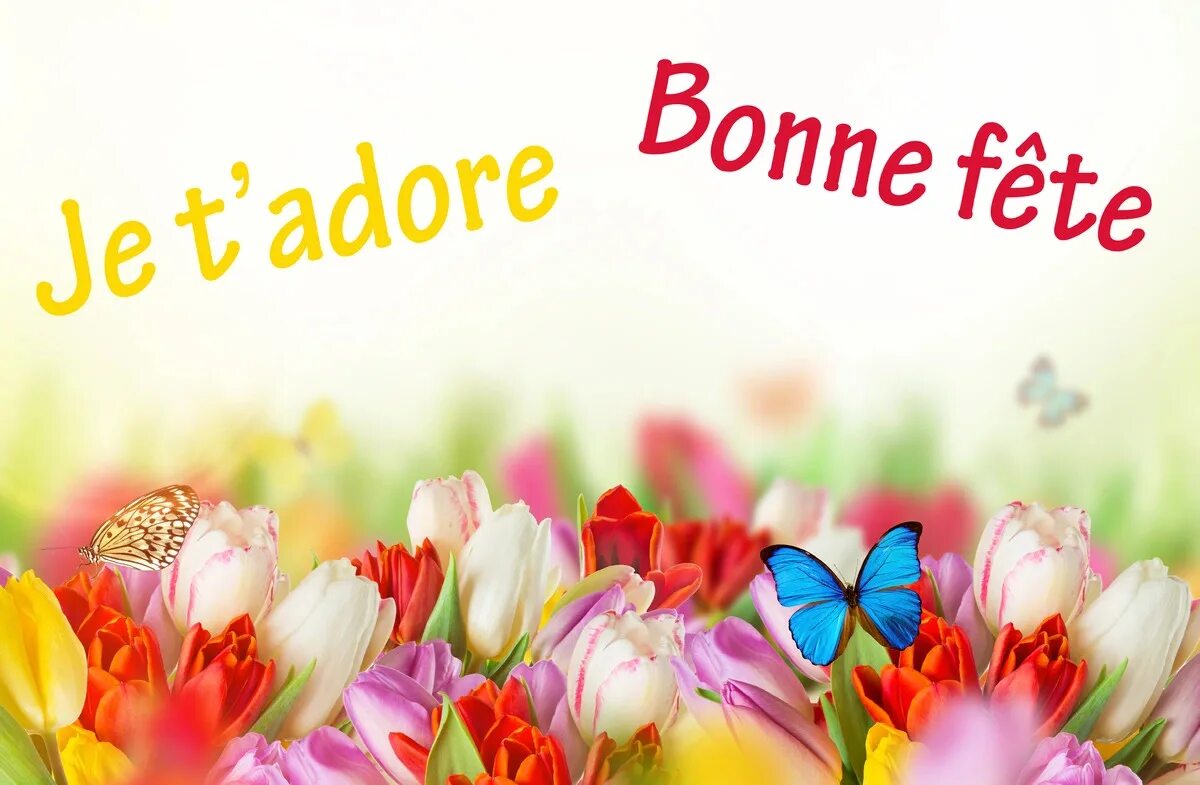 Цветы с bonne fête. Bonne fete планшет. Табличка bonne fete. Bonne fete кукла. Bonne fete перевод