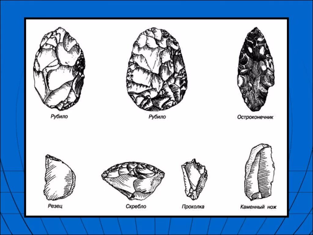 Homo habilis орудия труда. Homo habilis древнейшие каменные орудия. Первое орудие труда первобытного человека. Орудие труда первобытного человека рисунок с названиями. Рисунки рубило