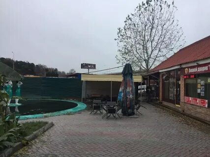 Пивные бары адлера