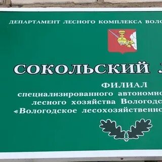 Филиалы лесничеств