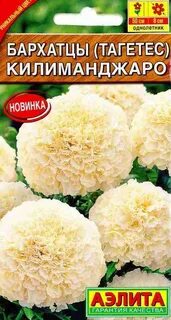 Бархатцы эскимо описание