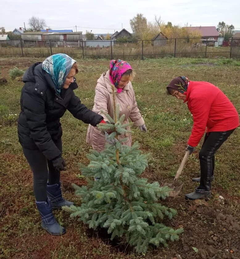 Погода чутеево