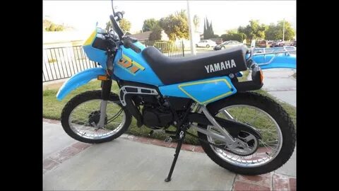 Dt 50