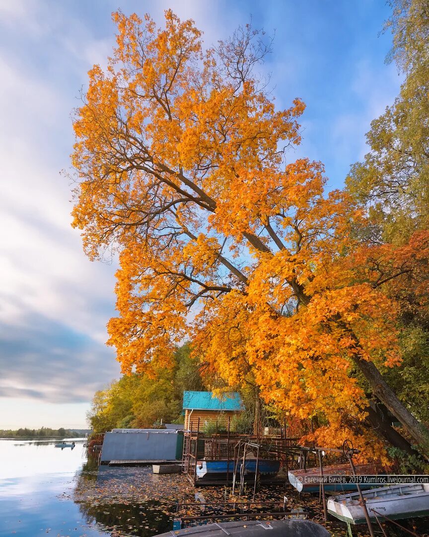 Пейзажи воронеж осень. Осенний город. Золотая осень воронеж. Воронеж осенью. Город воронеж осенью.