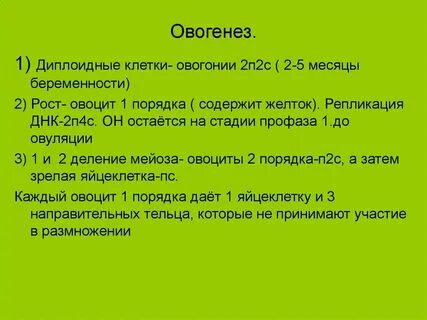 Порядок овогенеза