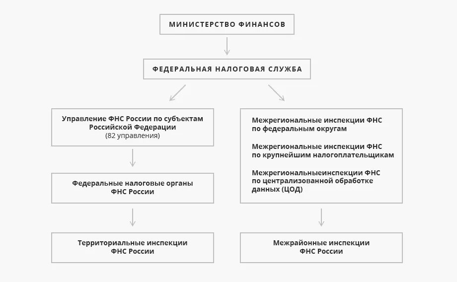 Налоговые органы субъектов федерации. Структура налоговых органов РФ схема. Система налоговых органов РФ схема. Иерархия налоговых органов РФ. Структура ФНС России 2022 схема.