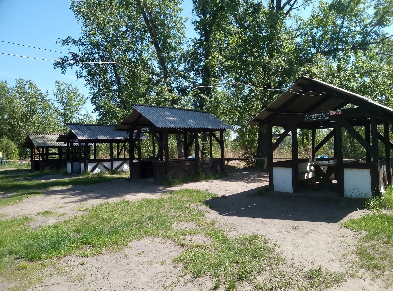 Где можно пожарить шашлыки. Лесная сказка мангальная зона. Остров молокова сибирская дивизия беседки. Шашлык на мангале на природе. Жарим шашлык.