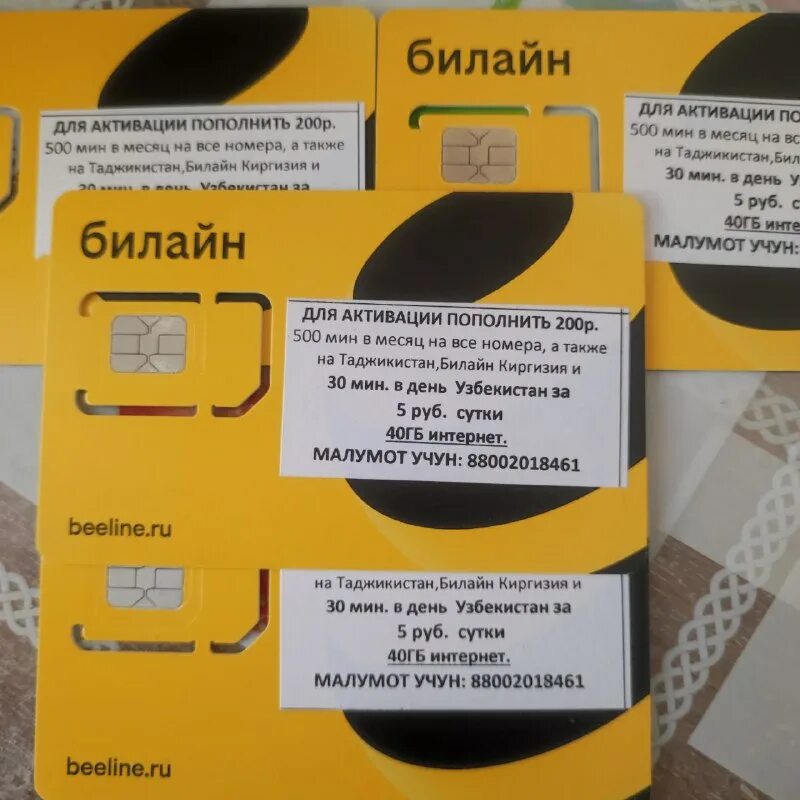 билайн kg. билайн бишкек магазин. оператор билайн кыргызстан. роуминг билайн. оператор билайн кыргызстан.