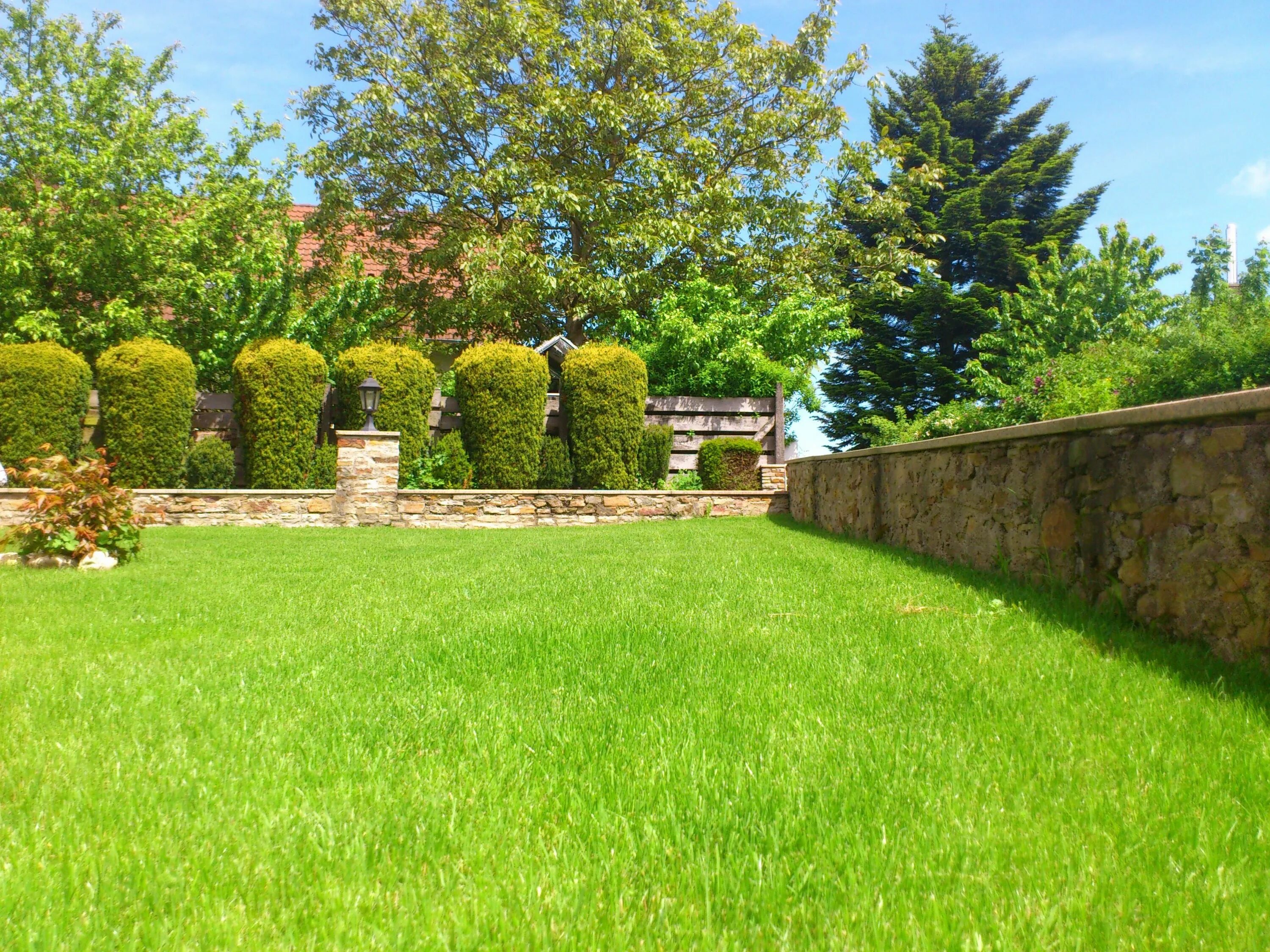 Зеленая дача участки. Обыкновенный садово-парковый газон. Забор Грин Гарден. Живая изгородь вилла. Гарденс Грин зеленый сад.