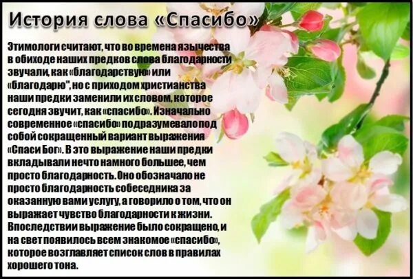 В какой день день спасибо. История дня спасибо. Международный день спасибо 11 января. День спасибо в 2023. Международный день благодарности растениям.