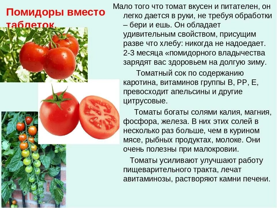 Помидоры сколько есть. Для чего полезны томаты. Чем полезен томат. Для чего полезны помидоры. Чем богаты помидоры.