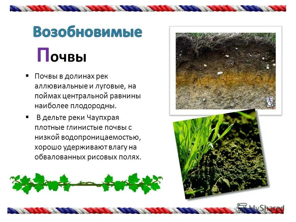 какие почвы на лугах