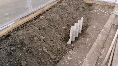 Шифер в теплице