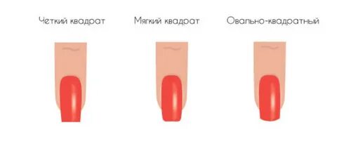 Мягкое твердое острое