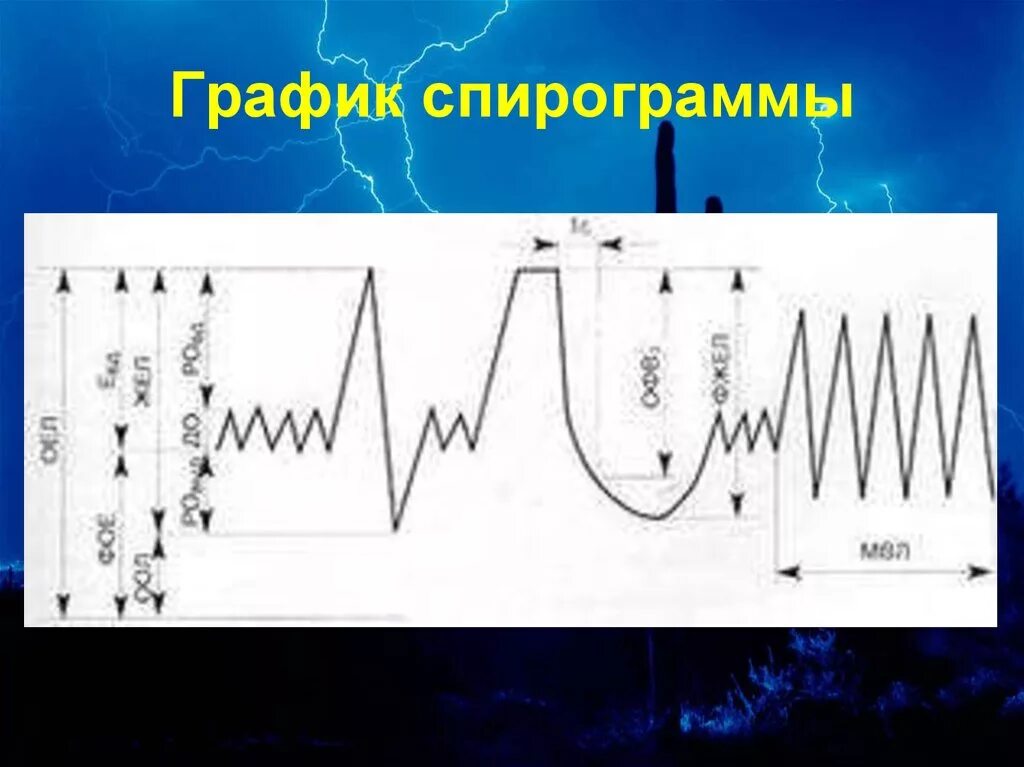 Сделать спирограмму