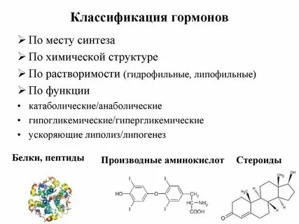 Типы гормонального влияния биохимия