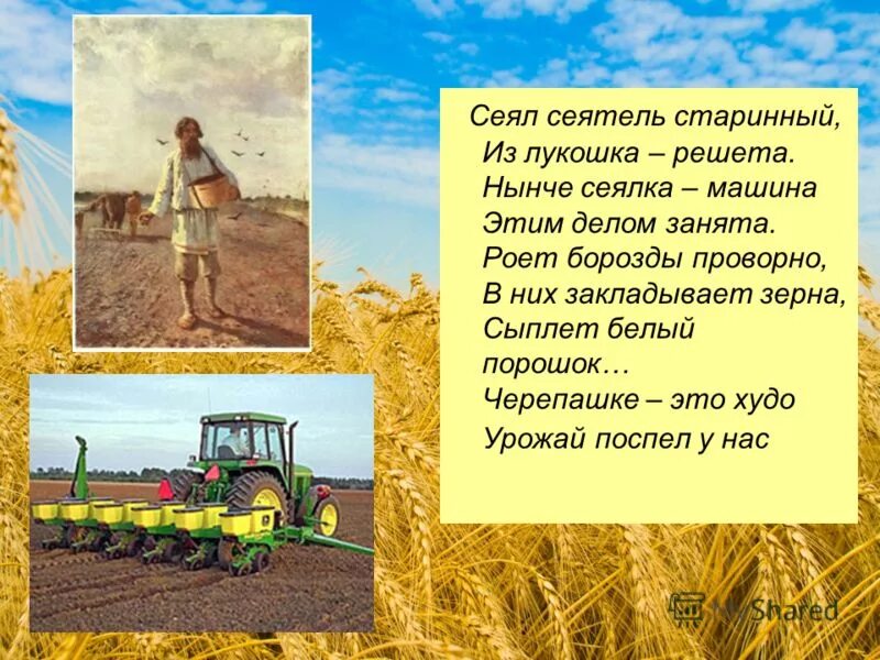 Полевые работы слова. План проведения весенних полевых работ. Общие положения полевых работ. Полевые работы слова. Организация полевых работ.