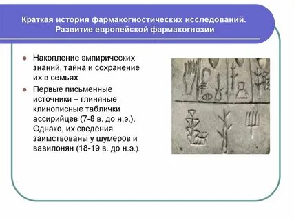 История исследований развития
