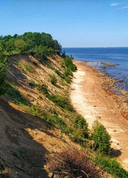 Лебяжье берег финского залива. Крутой уступ финского залива 5. Берег финского залива картина. Крутой уступ финского залива 5. Форт красная горка обрыв.