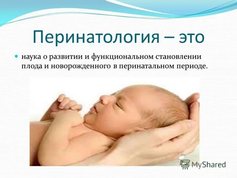 Перинатология периоды. Перинатология это. Перинатология это. Перинатология история развития. Перинатология это.