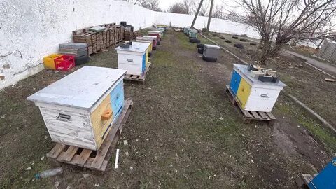 После улья