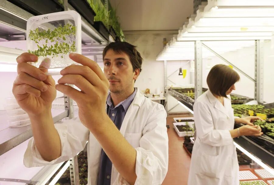 Современны етехнолоогии. Технологии будущего в медицине. Роботы ученые. Ученые будущего. Инженеры будущего.