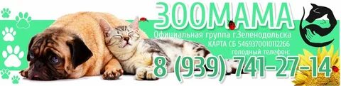 Зоомама отзывы