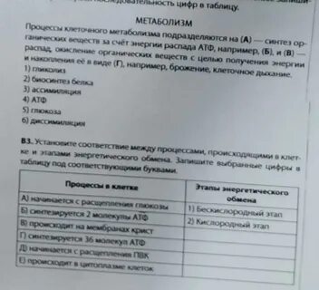 Тест по энергетическим ответы