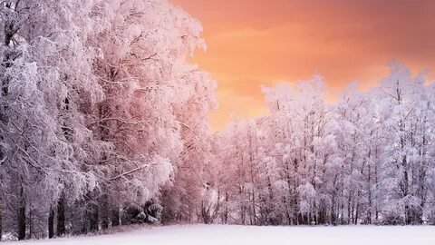 Заснеженная природа