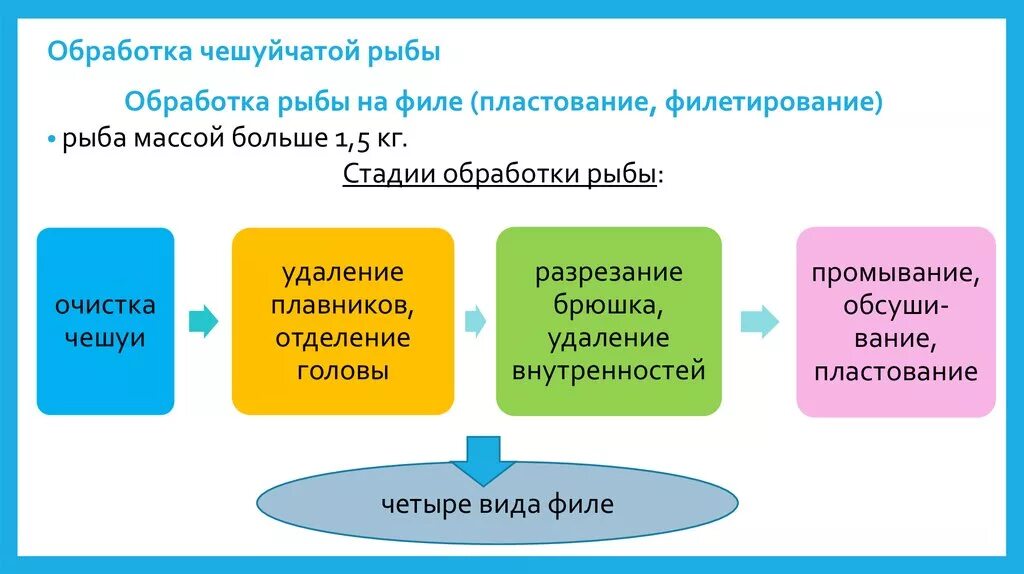 Обработка филе. Обработка чешуйчатой рыбы. обработка чешуйчатой рыбы на филе. схема обработки чешуйчатой рыбы на филе. обработка рыбы на филе пластование.
