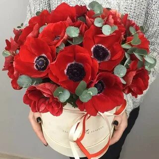 Заказ маков