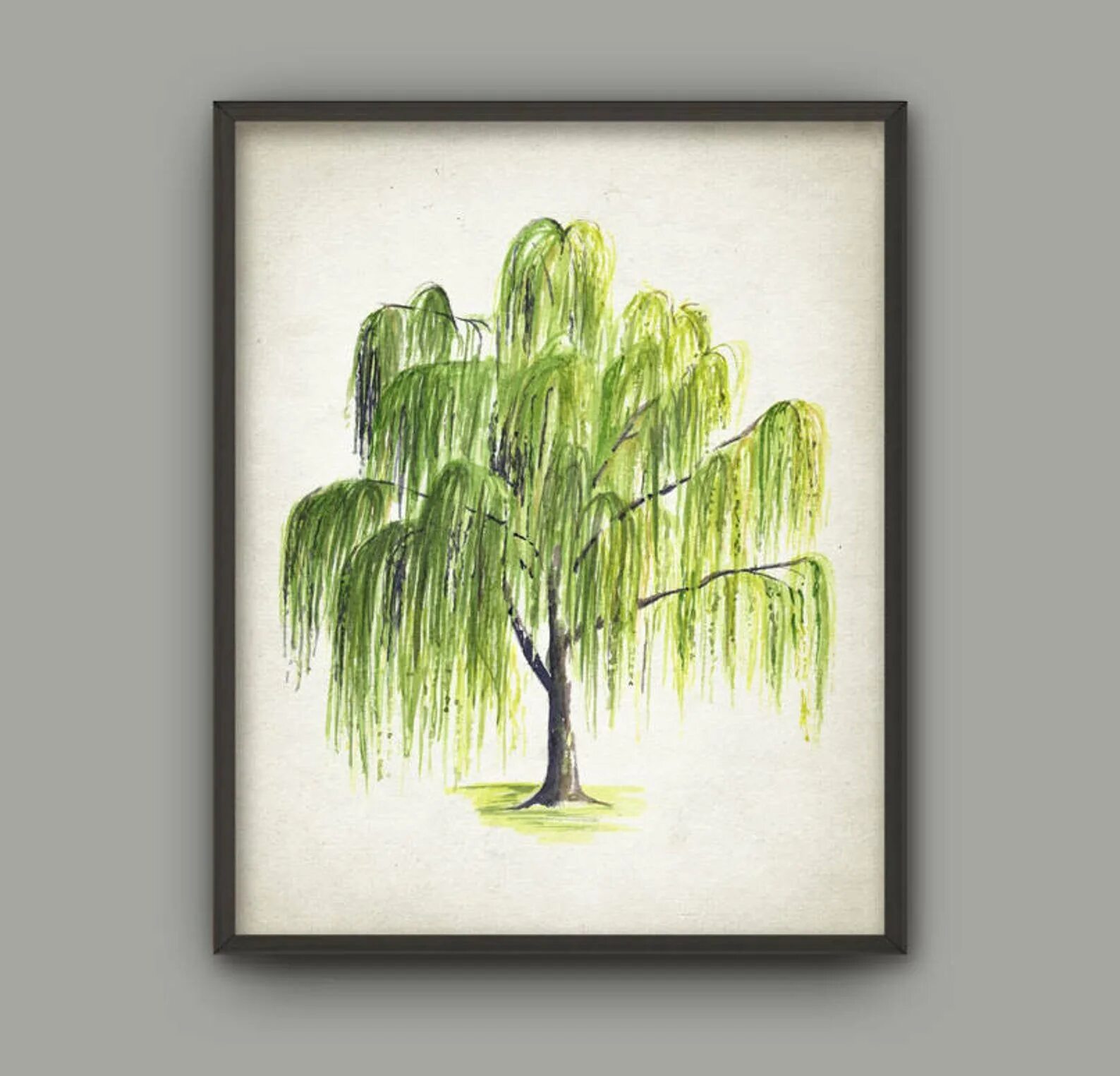 Плакучая ива эскиз. Поэтапное рисование ивы. Ива раскраска для детей. Раскраска дерево ива. Ива раскраска для детей.