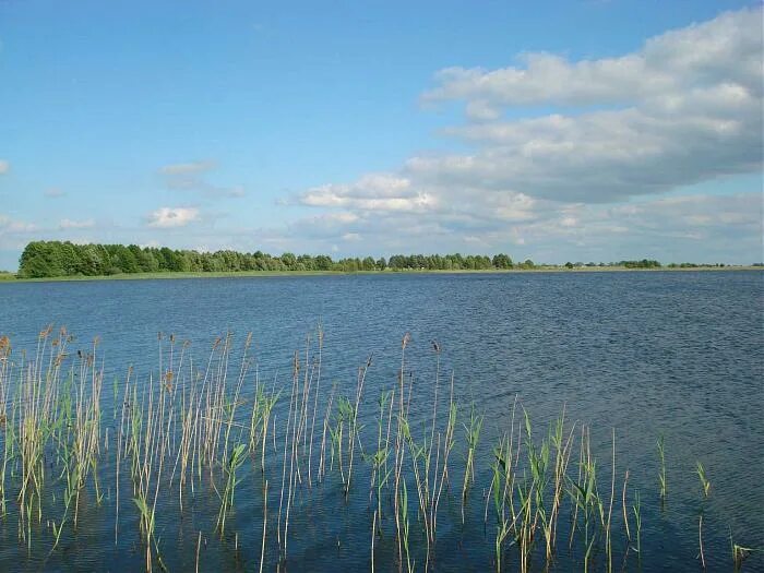 Озеро Куракли Маян. Куракли Маян озеро в Челябинской области. Озеро Куракли Маян фото. Оз.Куракли-Маян зимой.