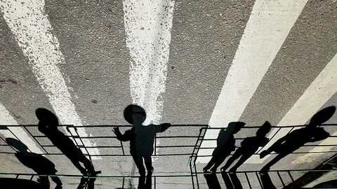 Они полют