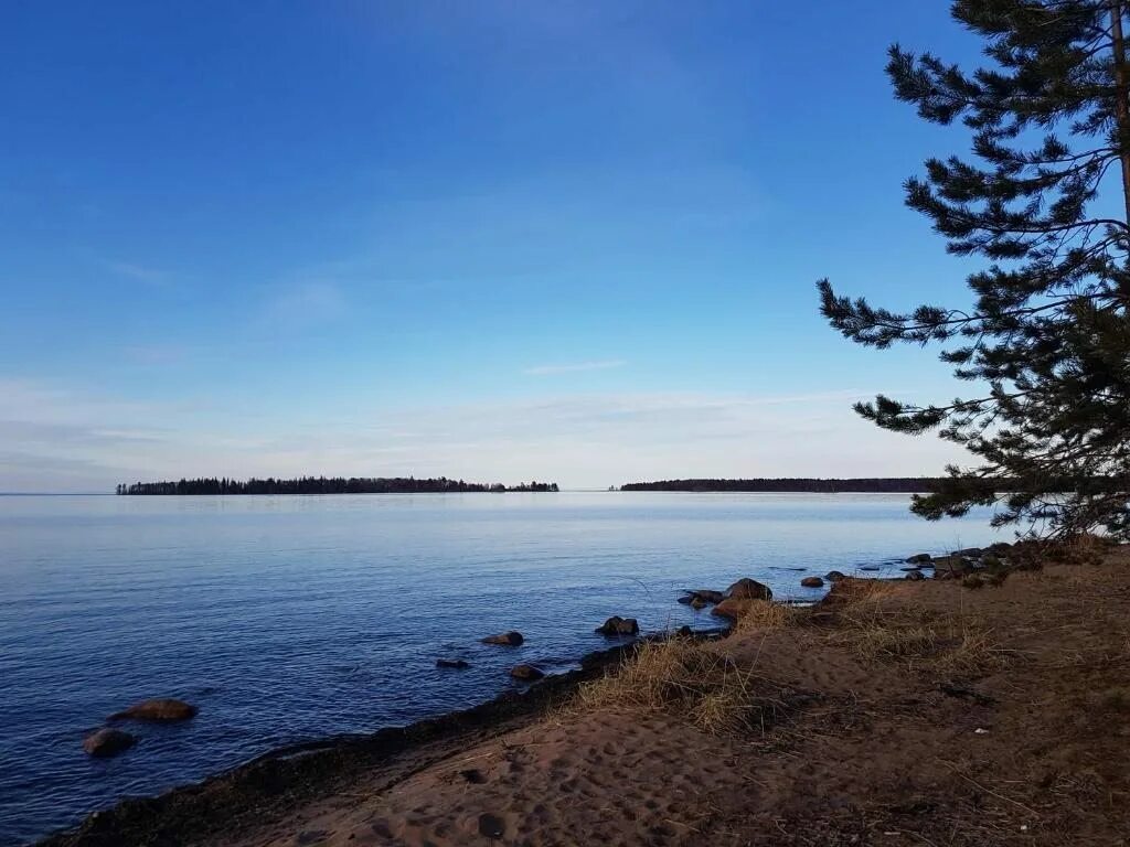 Село деревянное Прионежского района Республики Карелия. Берег Онежского озера поселок деревянное. Онега Петрозаводск. Село деревянное Карелия.