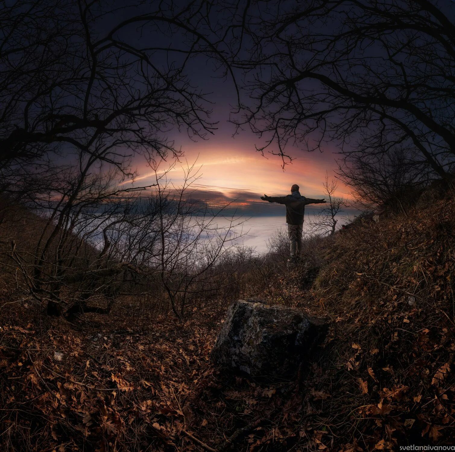 Цветы глаза природы. Красивые глаза природы. Красивые глаза природы. Глаза на фоне леса. Женские глаза на фоне природы.